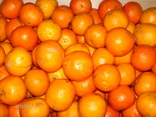Clementine mici_resize.JPG